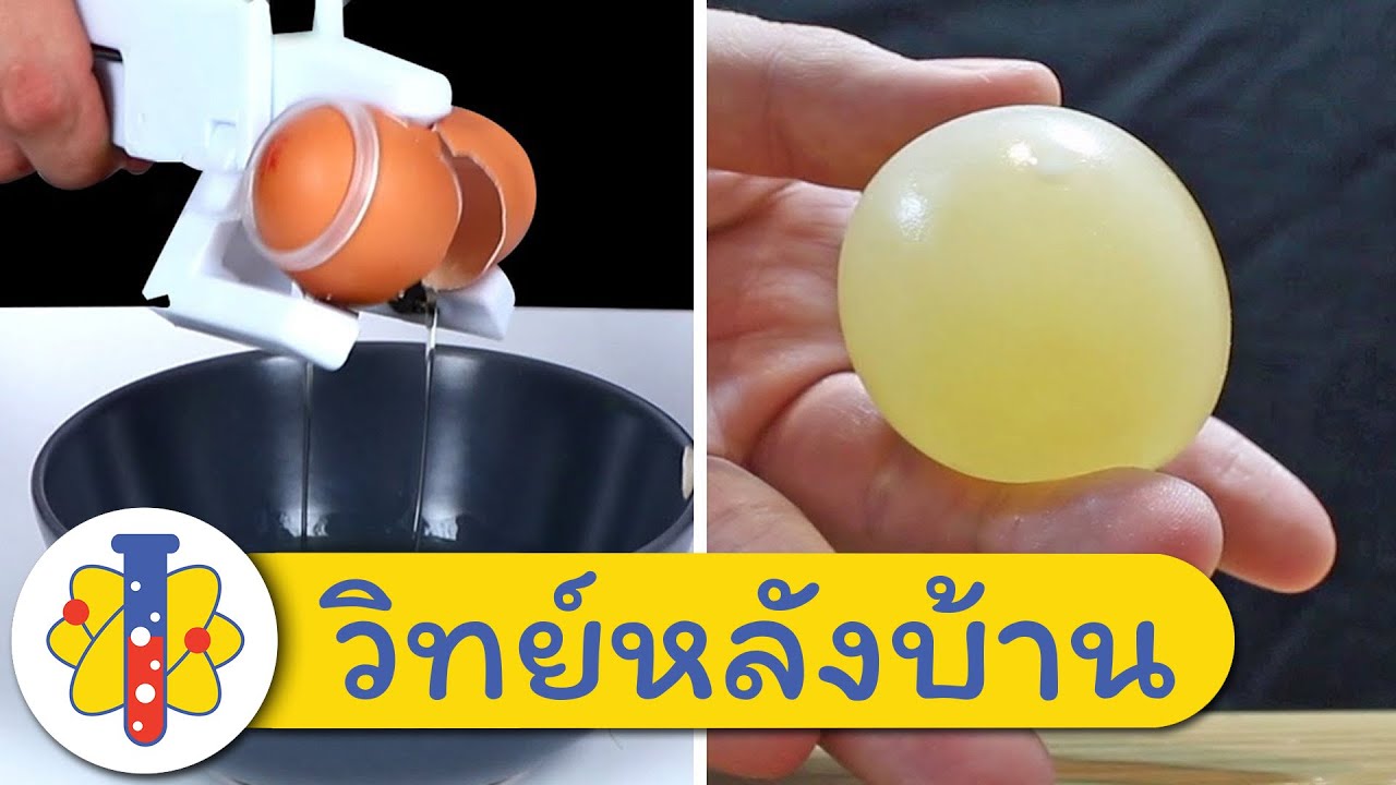 ⁣อุปกรณ์สำหรับไข่ ที่คุณต้องลอง! - ตอก ต้ม แยกไข่ และอื่นๆ | Egg Gadgets | วิทย์หลังบ้าน