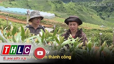 Chủ động ứng dụng khoa học công nghệ trong sản xuất nông nghiệp | THLC