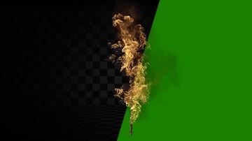 Burning Tree in 4K | Epic Cinematic Footage