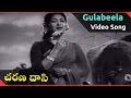 Charana Daasi Telugu Full Movie || Gulabeela Video Song  || ANR, NTR, Anjali Devi, Savitri