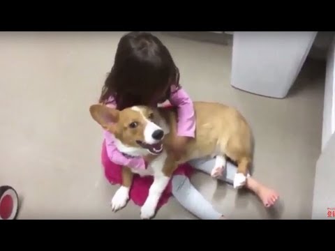 【かわいい】Twitterで見つけた動画！「面白ほっこりする瞬間」（３）