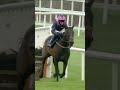 👀 Kopek Des Bordes 6/4 favourite for the Arkle