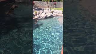 Psycho swimming lesson 2