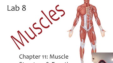 Week 8 Lecture Video