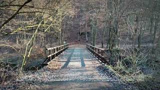 Lucid In The Sky By Aituflame