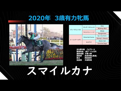スマイルカナ 2020年 ３歳有力牝馬特集 桜花賞 オークスなど 