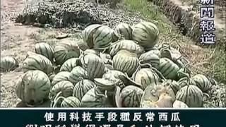觸目驚心的視頻_對今天我們飲食背後的反思