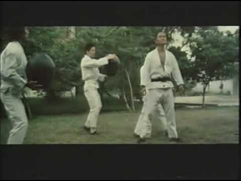 BRUCE LI - Soul Brothers Of Kung Fu - Part 5/10