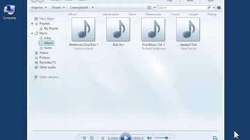 Windows 8.0 Professional - Select an Automatic Resize Option in Windows Media Player
