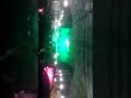 রুব্বানের নাচৈ কোমর দোলইয়া,,,,,,,,,, হাজার দ