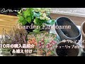 【ガーデニング】秋から冬に向けての購入苗の紹介＆植え付け🌼春に咲く【チューリップの球根植え付け】