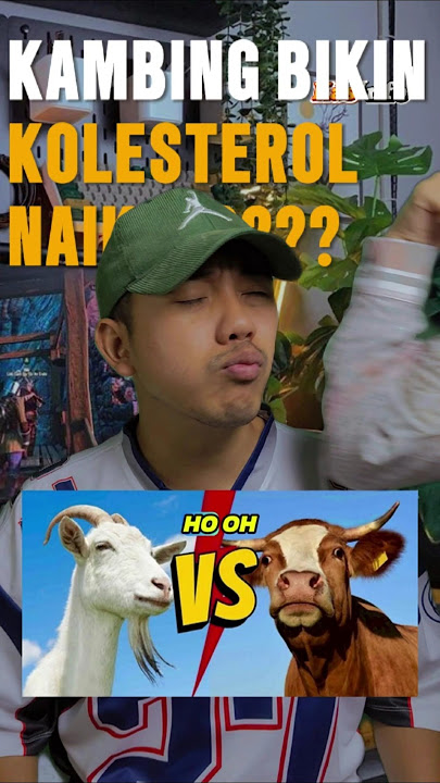 B0D*H, Kata Siapa Kambing Bikin Kolesterol Naik?? #funfacts #shorts
