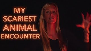 My Scariest Animal Encounter While Backpacking