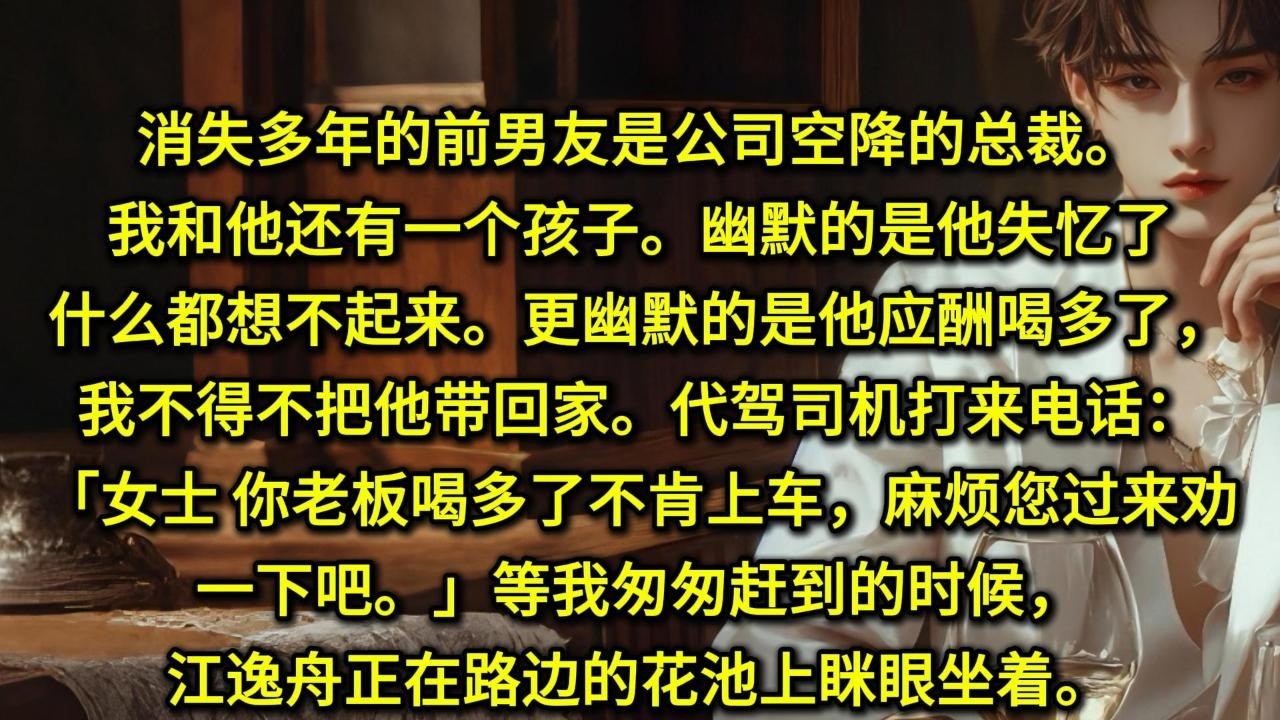 消失多年的前男友是公司空降的总裁。我和他还有一个孩子。幽默的是他失忆了，什么都想不起来。更幽默的是他今晚应酬喝多了，我不得不把他带回家。代驾司机打来电话：女士，你老板喝多了不肯上车，麻烦您过来劝一下吧