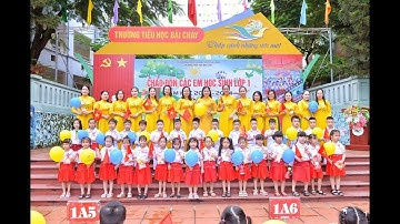 Chào đón các em học sinh lớp 1 - Tiểu Học Bãi Cháy 2023-2024