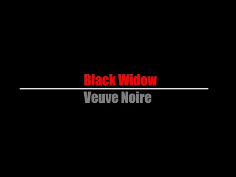 In This Moment - Black Widow (Traduction Française)