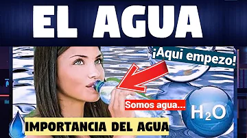 ¿Cuál es el circuito del agua?