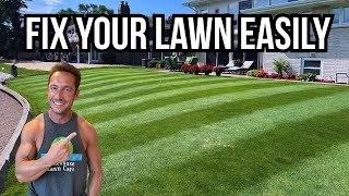 Summer stress can RUIN YOUR LAWN here's how to FIX IT EASILY