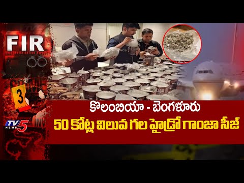 50 Crores Worth Hydro Ganja Caught In Banglore Airport | Three Arrested | TV5 News - TV5NEWS