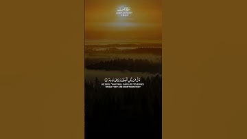 سوره يس بصوت الشيخ احمد النفيس