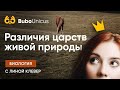 Различия Царств Живой природы | БИОЛОГИЯ ЕГЭ | Лина Клевер