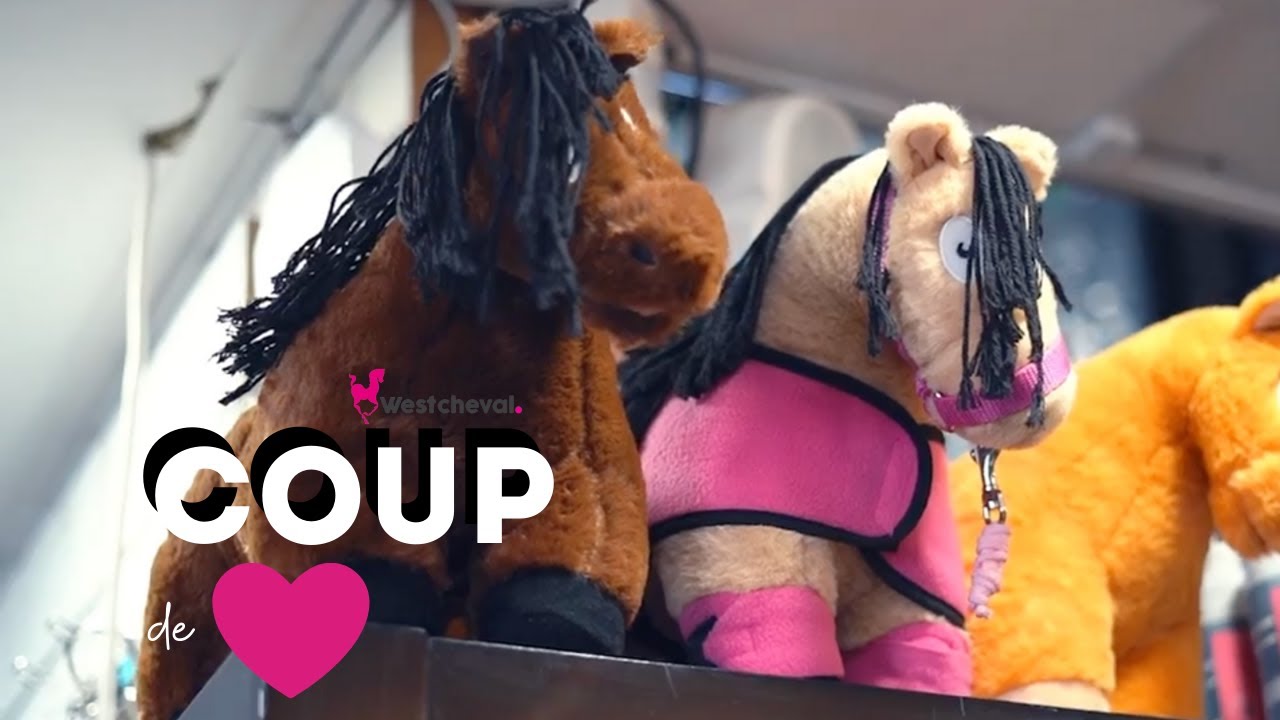 Kit D'outils De Maréchal-ferrant Professionnel – Fait Main – Pour Soin Des Sabots De Cheval – Cadeau Idéal – Neuf