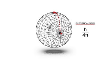Solving the Electron Spin