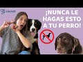 NUNCA LE HAGAS ESTO A TU PERRO - Lauvet