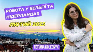 РОБОТА В БЕЛЬГІЇ ТА НІДЕРЛАНДАХ. АКТУАЛЬНА ІНФОРМАЦІЯ. ЛЮТИЙ 2023