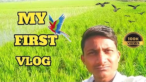 My First Vlog ❤️ || MY FIRST VIDEO ON YOUTUBE || SAIOFFICIAL @bablubannavlog