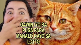 GAWIN ITO SA PUSA PARA MANALO KA SA LOTTOAPPLE PAGUIO7