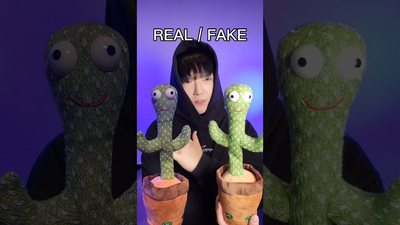 REAL FAKE Beatbox TeamREAL