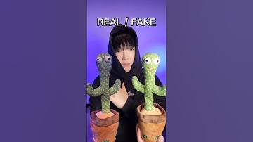 Thumbnail of REAL / FAKE #beatbox #TeamREAL