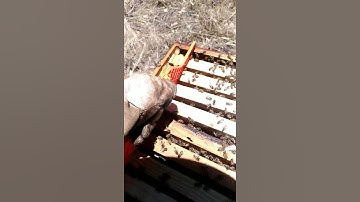 9 Frame spacer tool in action