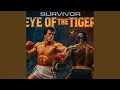 EYE OF THE TIGER