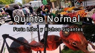 Feria Libre y Bichos Gigantes en Quinta Normal by Los Visitors Visitantes 109 views 1 year ago 25 minutes