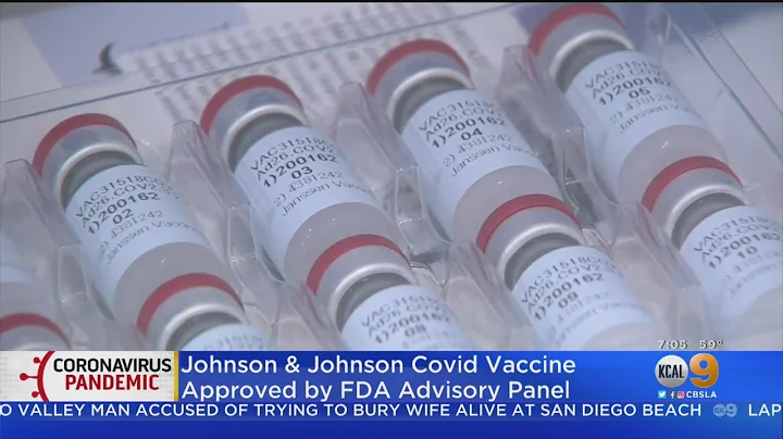 Johnson & Johnson COVID 19 Vaccine Approved By The FDA Advisory Panel