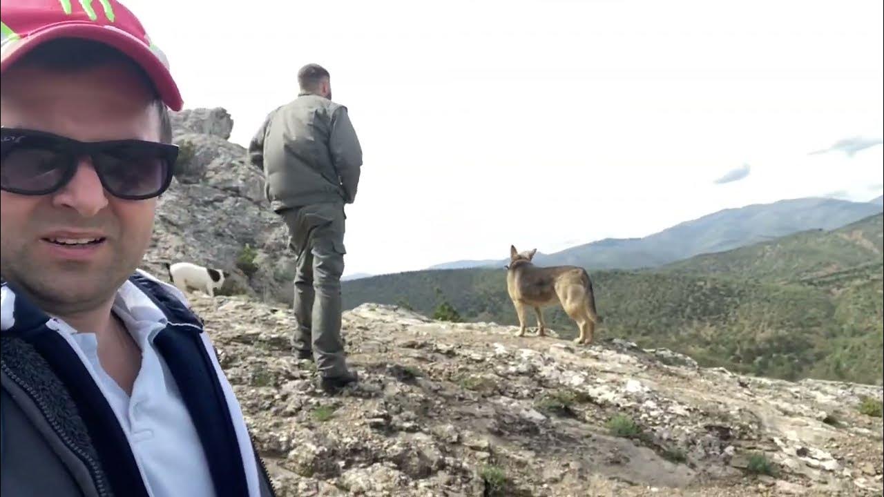 Гора Сокол новый свет маршрут