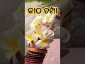 କାଠ ଚମ୍ପା ଫୁଲ 😱 #𒆜foryou @namitaskitchengarden9693