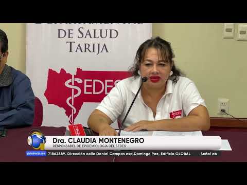 SUBE A 543 LOS CASOS DE CHIKUNGUNYA EN TERRITORIO DE TARIJA