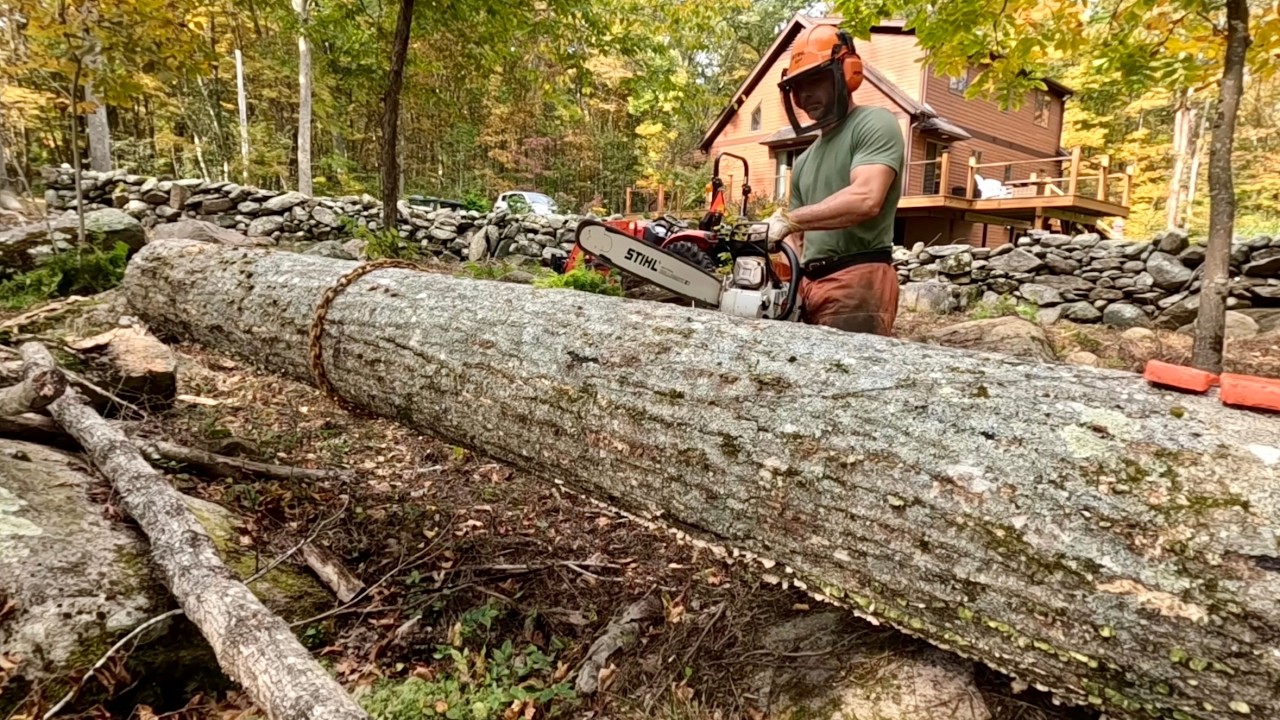 Removing a felled Oak Tree from Rocky Ground - YouTube