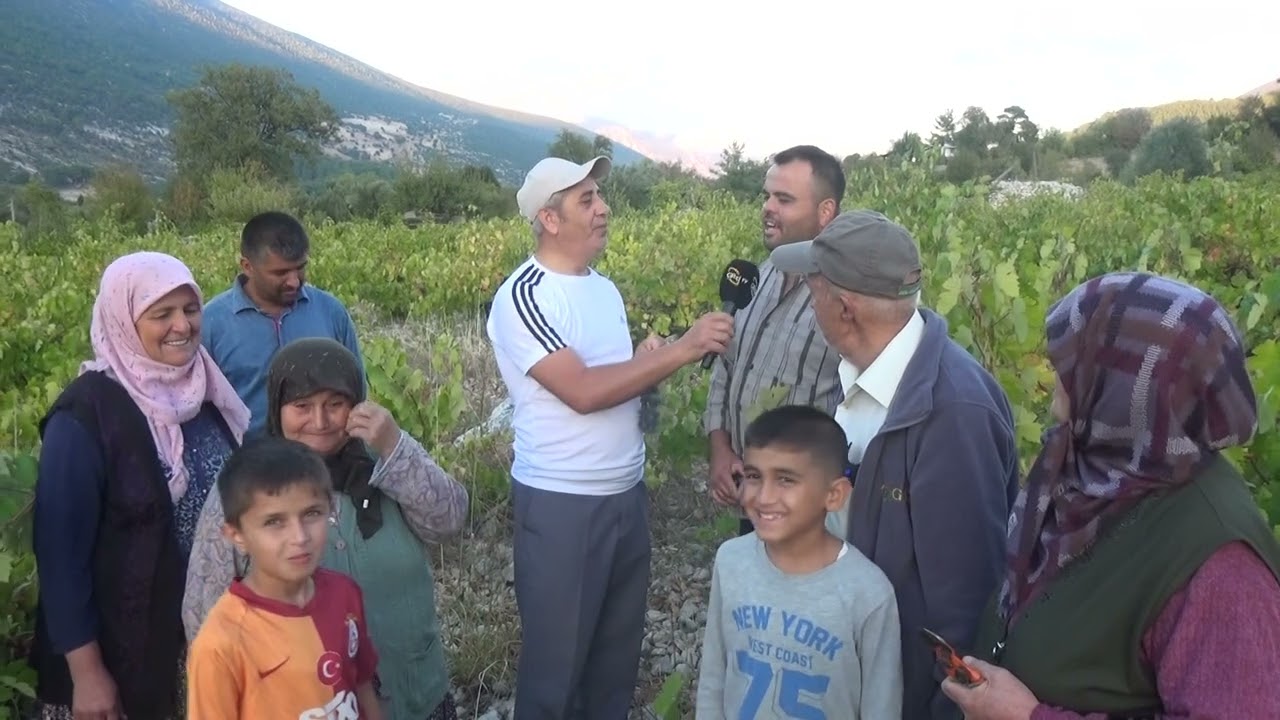 ANTALYA FİNİKE YAZIR KÖYÜ ÜZÜMÜ
