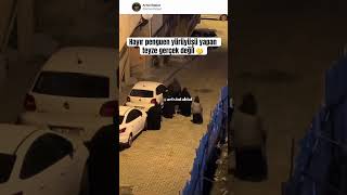 Penguen Yürüyüşü Ürüyüş Ğlence Im