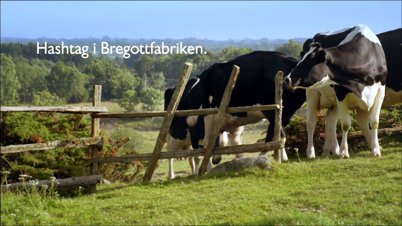 nätdejting i bregott