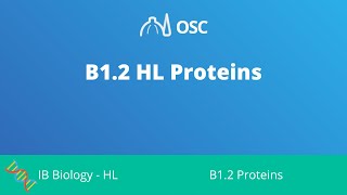 B1.2 HL Proteins [IB Biology HL]