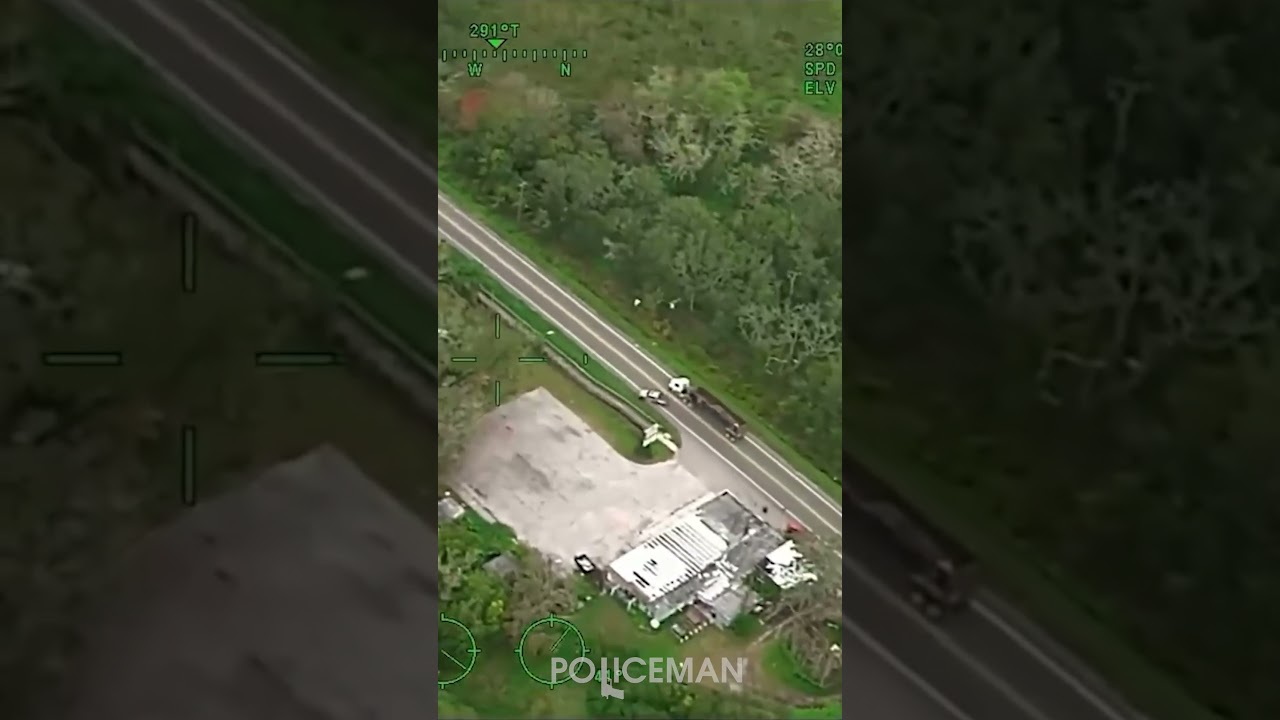 Шипы творят чудеса