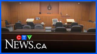 Other victims of dogs who killed boy testify in court
