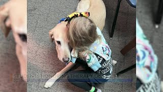 He always helped people: Gibson City student makes memorial for Butch the therapy dog