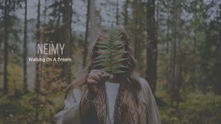 NEIMY - WALKING ON A DREAM Resimi