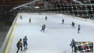 Great Neck Bruins 16U v. Peconic (3.13.21)